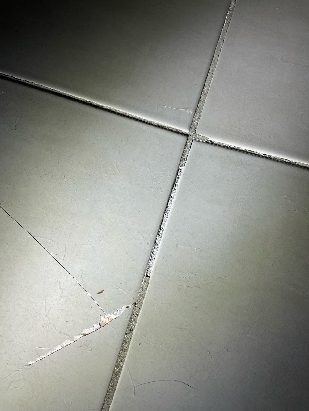 Floor grout degrading and discolouring under stress from missing movement joints, found during a defect investigation inspection in Werribee