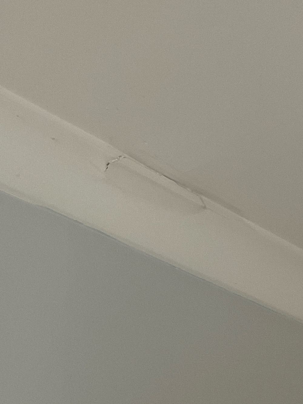 Minor plaster damage and paint defects needing patching, Sunshine North, Werribee