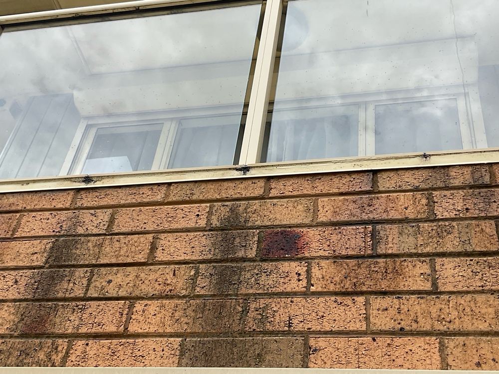 Things to look at yourself before offering on a Werribee house
